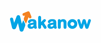 Wakanow Logo
